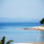 Pogled